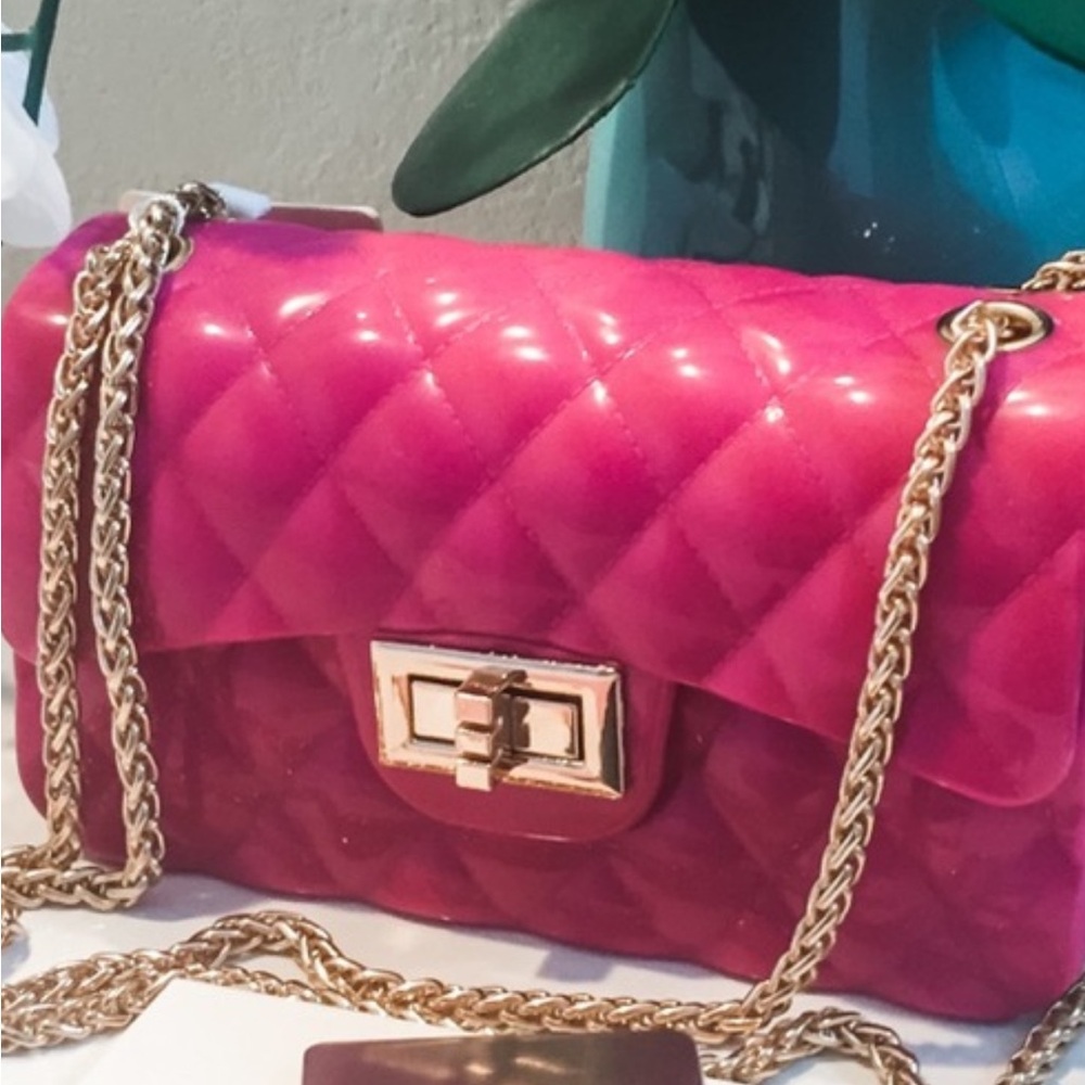 Raspberry Pink Jelly Purse With Gold Hardwy